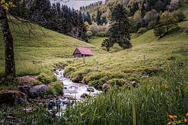 Kleiner Wildbach im Schwarzwald von Hans-Bernd Lichtblau