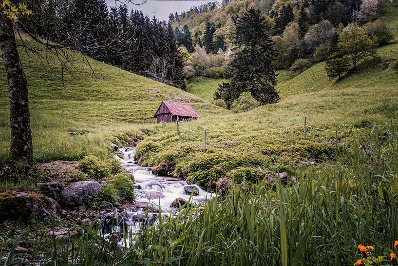 Kleiner Wildbach im Schwarzwald von Hans-Bernd Lichtblau