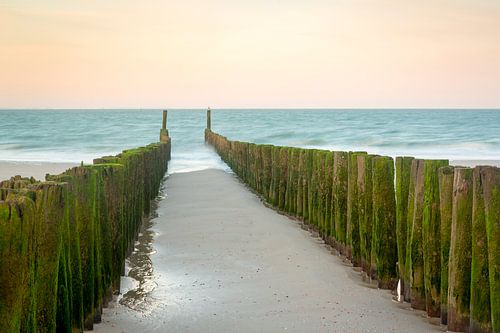 Strandpalen tijdens zonsopkomst