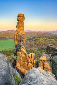 Barbarine in der Abendsonne