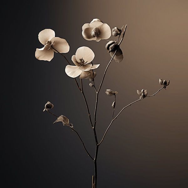 Bloemenpoëzie in Monochrome tinten van Karina Brouwer