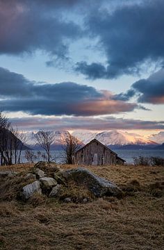 Een oud instortend boothuis dat uitkijkt over de Sunnmørsalpen, Godøy, Noorwegen van qtx