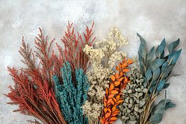 Arrangement coloré de fleurs séchées sur Imperial Art House