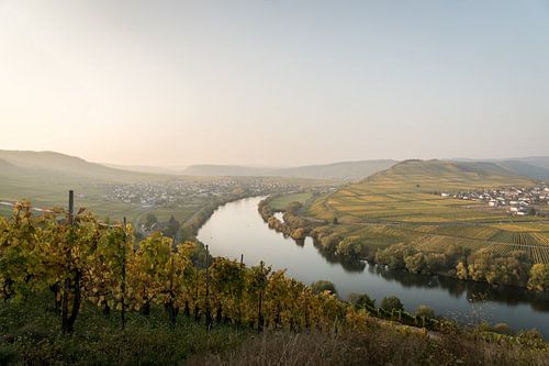 Moselle