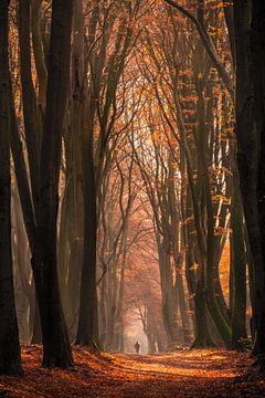 Sunday stroll van Mario Visser