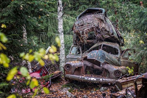 Roestige erfenissen in het bos - autokerkhof in Zweden