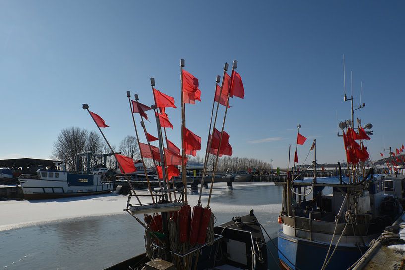 rote Fahnen auf dem Fischerboot, Hafen Thiessow von GH Foto & Artdesign
