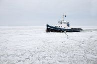 ijsbreker op ijsselmeer van Paul Piebinga thumbnail