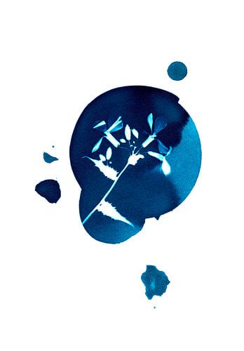 Blauwe Bloemen Cirkel