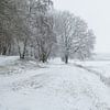 Dutch winter landscape #7 by Mark Bolijn