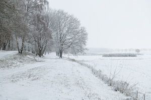 Niederländische Winterlandschaft #7