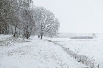Nederlands winterlandschap #7