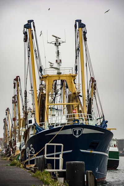 Visserschepen in de haven IJmuiden. van scheepskijkerhavenfotografie