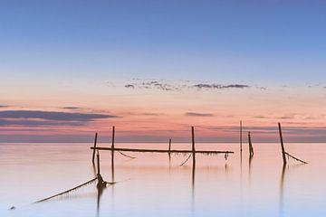 Fischstäbchen in ruhiger See von Lennart van Hoorne