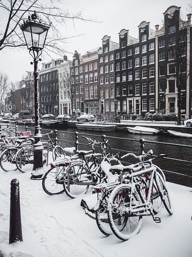 Amsterdam covered in snow