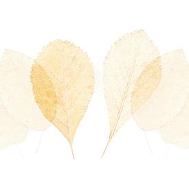 Aquarellartige Blätter 1 von Jaap Tanis