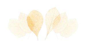 Aquarel achtige bladeren