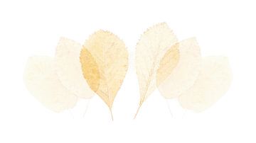 Aquarel achtige bladeren 1