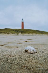 Coquillage avec le phare de Texel en arrière-plan sur Pim Haring