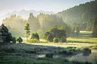 Sommer in den Alpen
