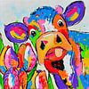Cows