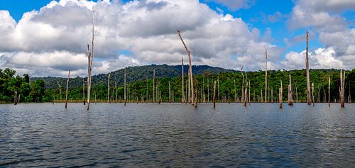 Het Brokopondomeer in Suriname