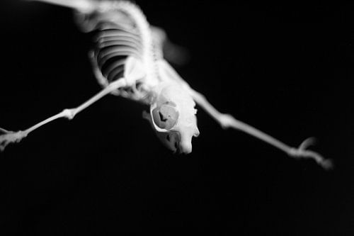 Je m'envole pour le week-end.