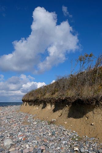 On the high bank in autumn
