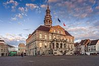 Maastricht city hall by Rob Boon thumbnail