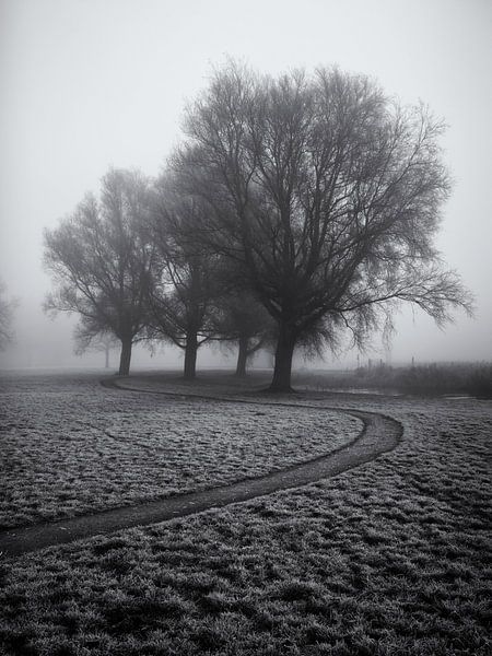 Voetpad langs enkele bomen in de mist van Paul Beentjes