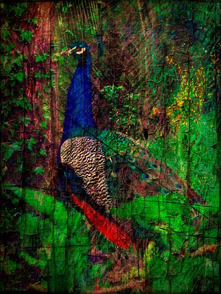 Peacock Review by Dorothy Berry-Lound