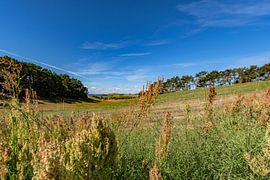 Groß Zicker, Blick ins Höft und die Ostsee, Rügen von GH Foto & Artdesign