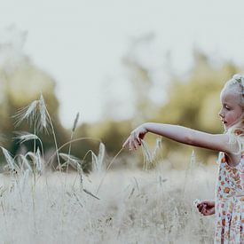 Girl in wheat field by Kelly Vanherreweghen