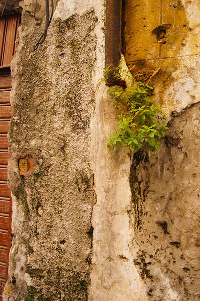 Verwitterte Mauer auf Sizilien von Jadzia Klimkiewicz