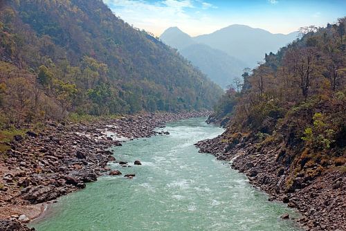 De heilige rivier Ganges in India bij Laxman Jhula