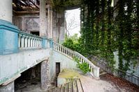 Verlassene überwucherte Treppe.