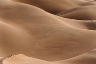 Footsteps in the desert by Photolovers reisfotografie thumbnail