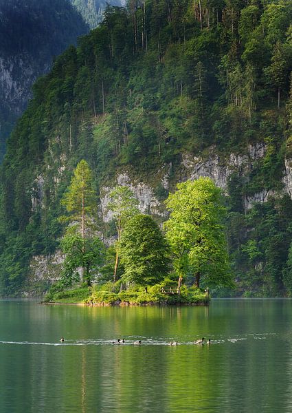 Christlieger island in the Konigssee by Jos Pannekoek