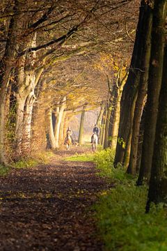 Un tel après-midi sur Pictures by Van Haestregt