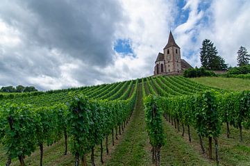 The church of Hunawihr (Eglise Saint-Jacques-le-Majeur) by Discover Dutch Nature