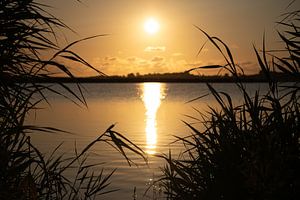 Blick auf die aufgehende Sonne über dem Amstelsee