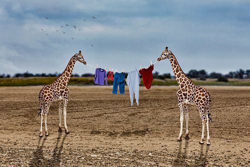 Wäsche trocknen in Afrika