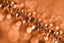 Timeless reflections – A diagonal, abstract interplay of sharp droplets and faint circles by Marjolijn van den Berg