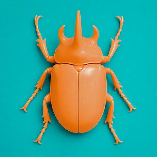 Kever Oranje op Turquoise