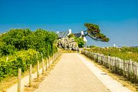 En route pour la magnifique Bretagne et tous ses points forts - France