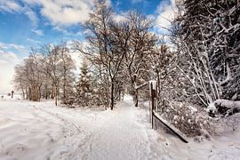 Botrange by Rob Boon