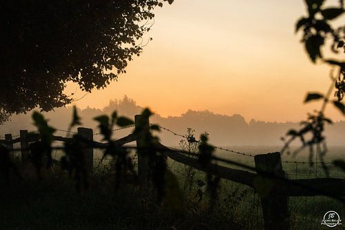 Lever de soleil par un matin brumeux