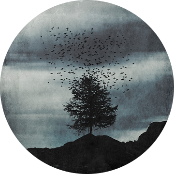 Stijging - kudde vogels boven een boom