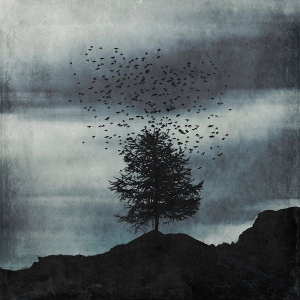 Aufstieg - Vogelschwarm über Baum von Dirk Wüstenhagen