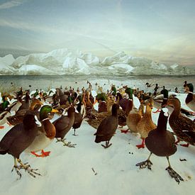Winter landscape with ducks by Marijke van Loon